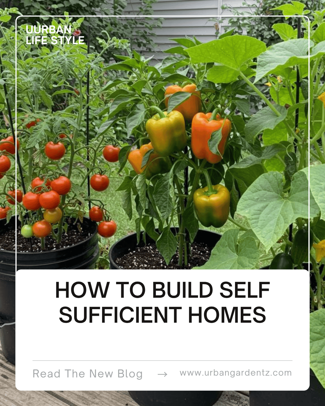 How to build a self sufficient home
